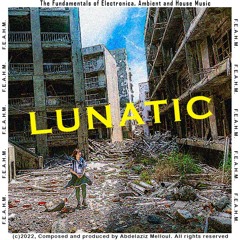 Lunatic - 03 - Strangest Feeling (LUNATIC Vocal Update) (With Evil Factman And RubyDubidoux)