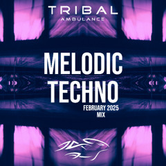 Melodic Techno Mix [February 2025]