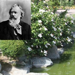 Brahms, Intermezzo in E Major, Op. 116, No. 4