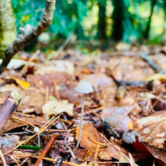 Even uit de maalstroom deel 2