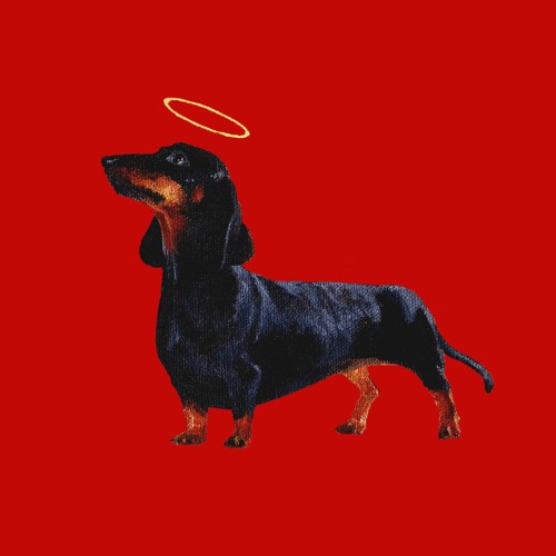 ПОЛМАТЕРИ - псы попадут в рай