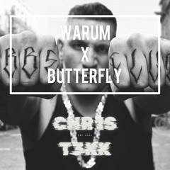 WARUM x BUTTERFLY - CHR1ST3KK MASHUP [HARDTEKK]