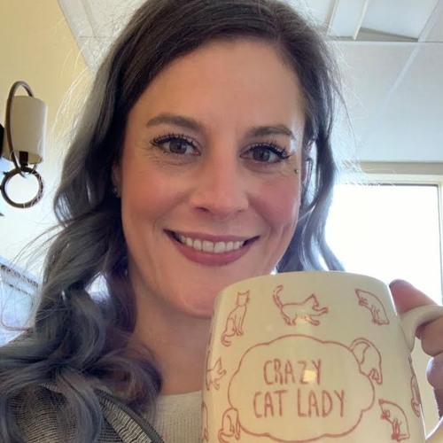 Stream Episode Van 059 Career Switch To Human Anesthesia With Morgan