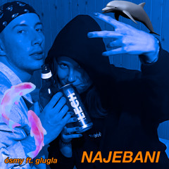 NAJEBANI (feat. glugla)