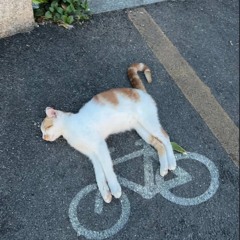 niggas knoo prod me n crimitis