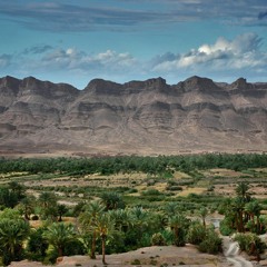 سورة يس كاملة - الشيخ أحمد بن طالب - فجريّة