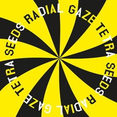PREMIERE : Radial Gaze - Shruti And Sheila (Thisbe Recordings)