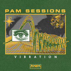 Pam Sessions - Vibration