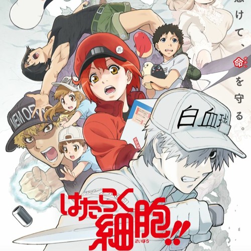 CENA DAS PLAQUETAS FANDUBLADA ( Hataraku Saibou) 