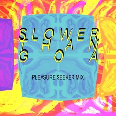 SLOWER THAN GOA [Pleasure Seeker Mix]