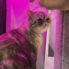 only you - K motionzz cover