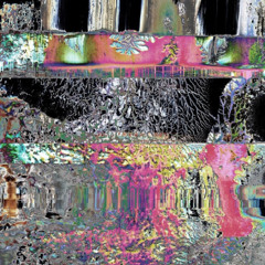 diamond wings (pink diamond x wings)