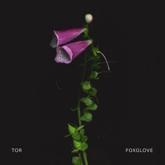Spotify_2021-08-25