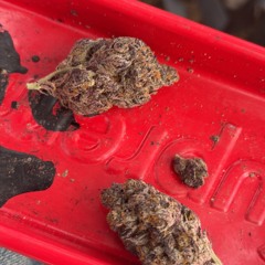 ionpopscripts [shmack]