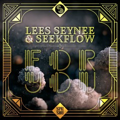 Lees Seynee & SeekFlow - For You