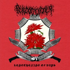 Lengthening of Days (Peoples Temple Cover) by Periodeater ft. Light Being