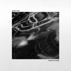 Premiere: Bruderschaaft - Human Psychotic [SFREC009]
