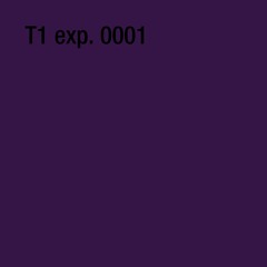 T1 exp. 0001