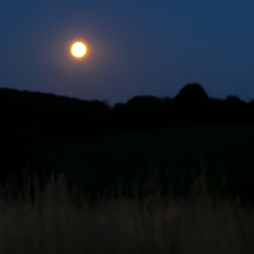 *insert cool name here*