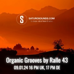 Organic Grooves by ralle 43, 09.01.24