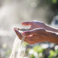 WHEN NOTHING FEELS SECURE – Homily 33rd Sunday in Ordinary Time November 16, 2025