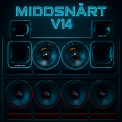 Middsnärt V14