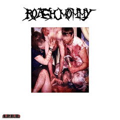 Hematolagnist Mosquito