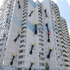 Город