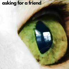 Asking For A Friend