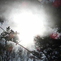 Sounds I Like Archive