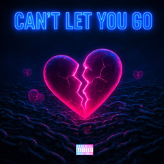 Cant Let You Go