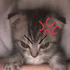 [ ₊˚⊹Sydney Ranae //✯into you [ Sped Up]