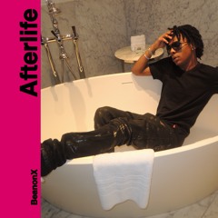 Afterlife