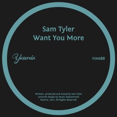PREMIERE: Sam Tyler - Want You More [Yesenia]