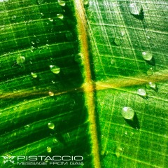 Pistaccio - A Message From Gaia (PH 007) Snippets