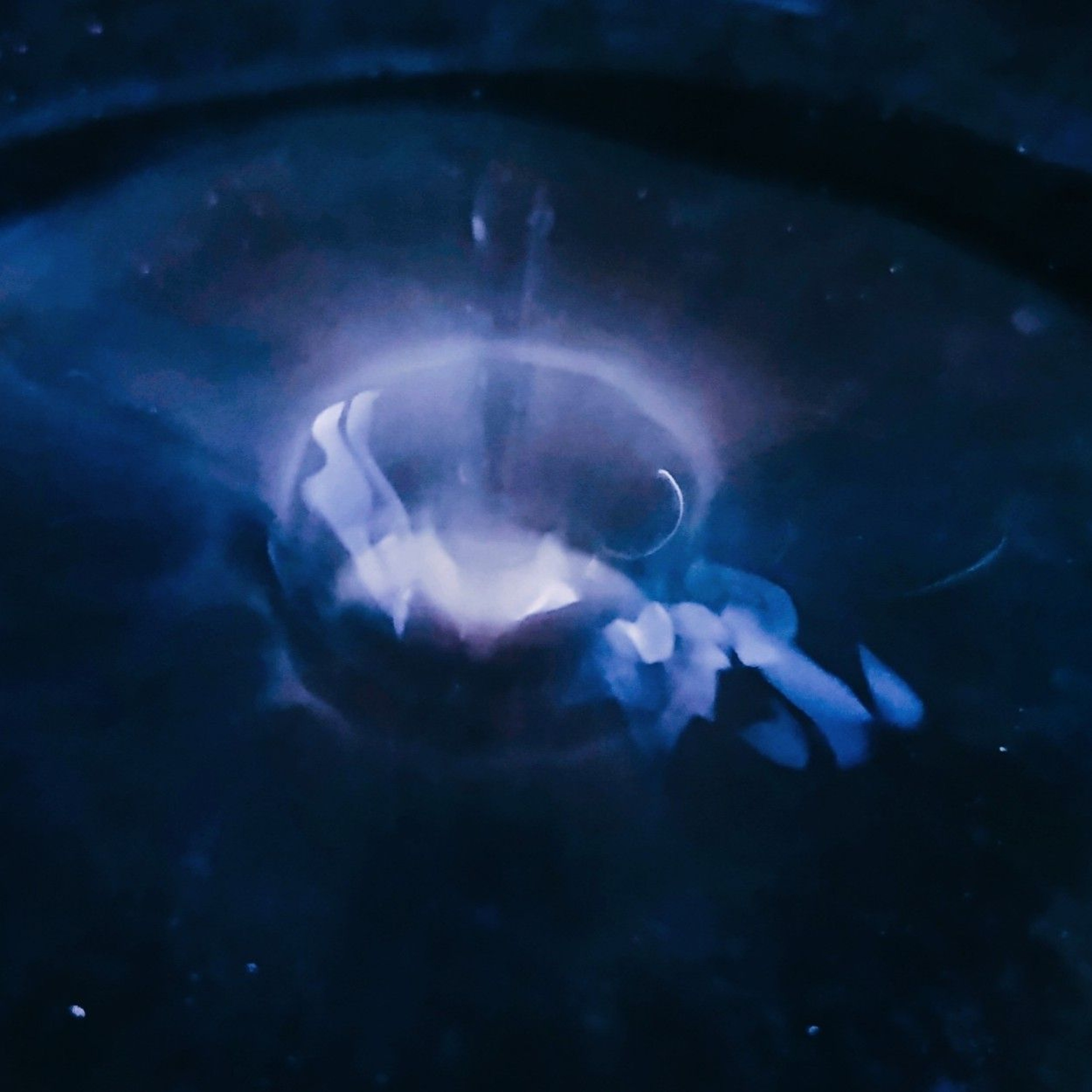 Threading the Needle episode artwork