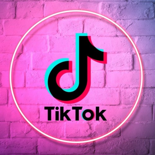 I just came here to the party for the drugs (TikTok Song Remix)