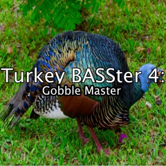 Turkey BASSter 4 - Gobble Master