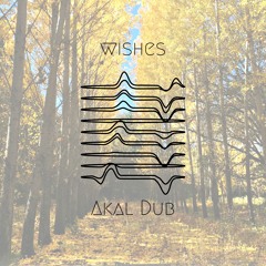 Akal Dub - Wishes