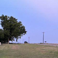 thisismyreality now (Demo)