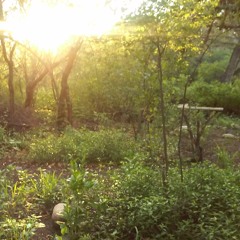 Nomaisanaiko - círculo de canto de mujeres Taipichin