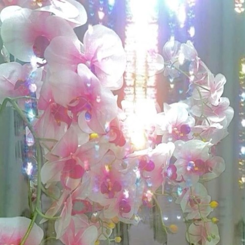 "be minee" prod.jreampierre