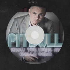 Pitbull - I Know You Want Me (Sash Remix)