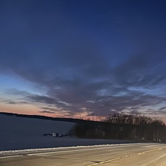 Muhlcat River kingfisher