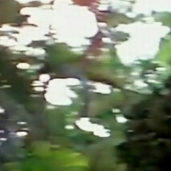 0129