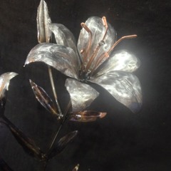 hypocrite (glamoonn)