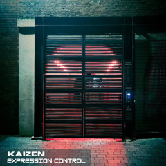 Kaizen - Expression Control