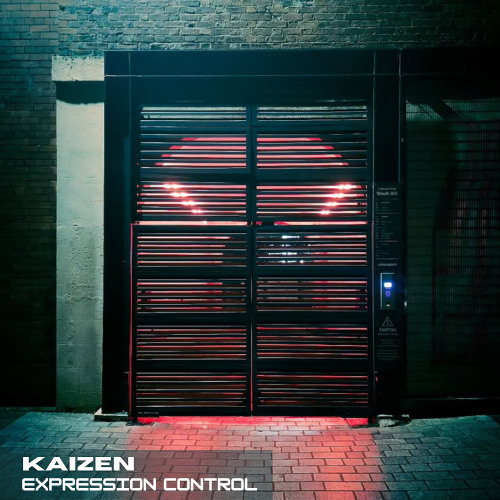Kaizen - Expression Control