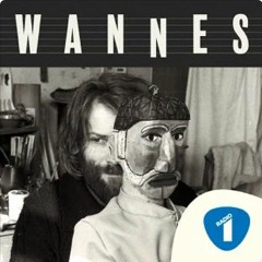 Wannes | 1. Wannes, de Antwerpse zanger