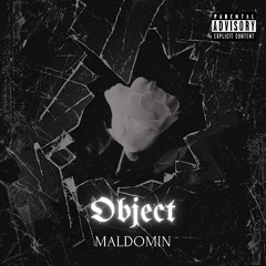 Object